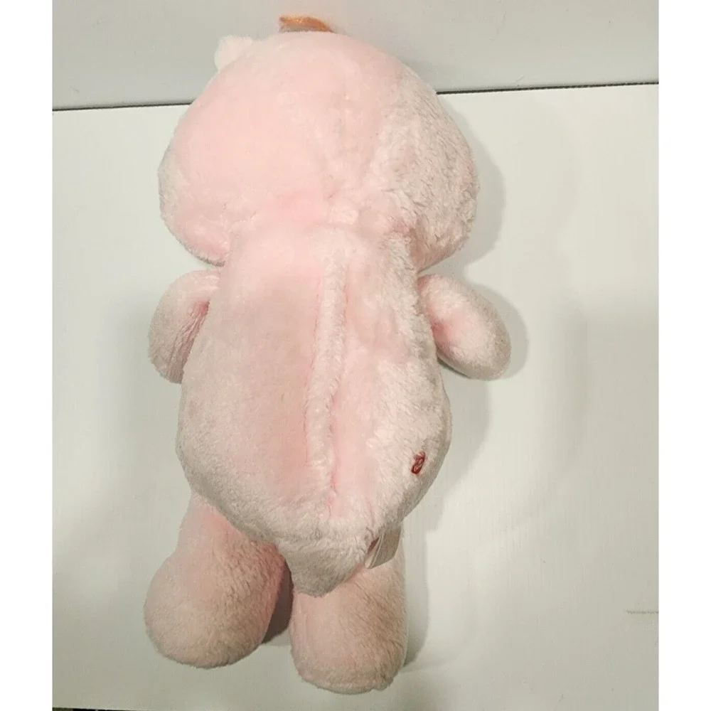 Care Bears Pink Cheer Bear Rainbow 17